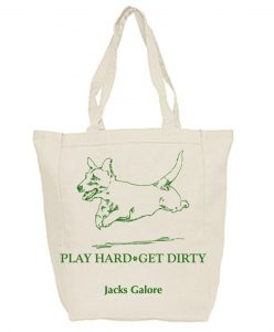 Gift Bag for $50 or greater donations