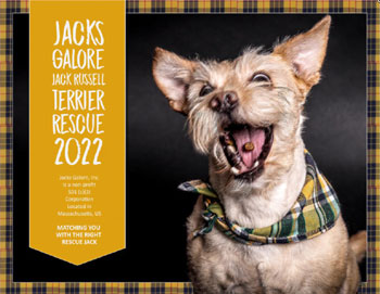 Jacks Galore 2022 Calendar