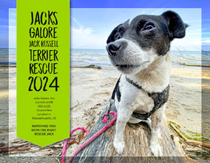 2024 Jacks Galore Calendar
