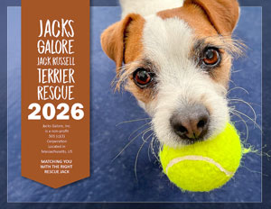 Jacks Galore 2025 Calendar