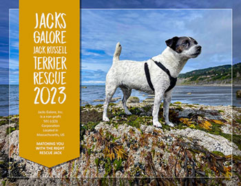 Jacks Galore 2023 Calendar